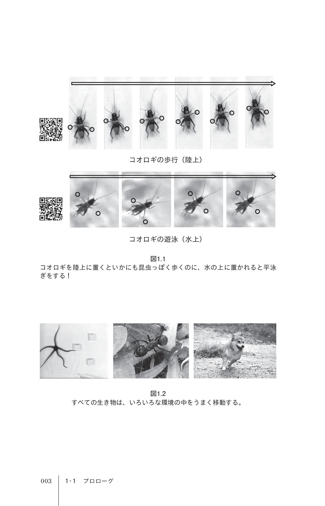 サムネイル 15