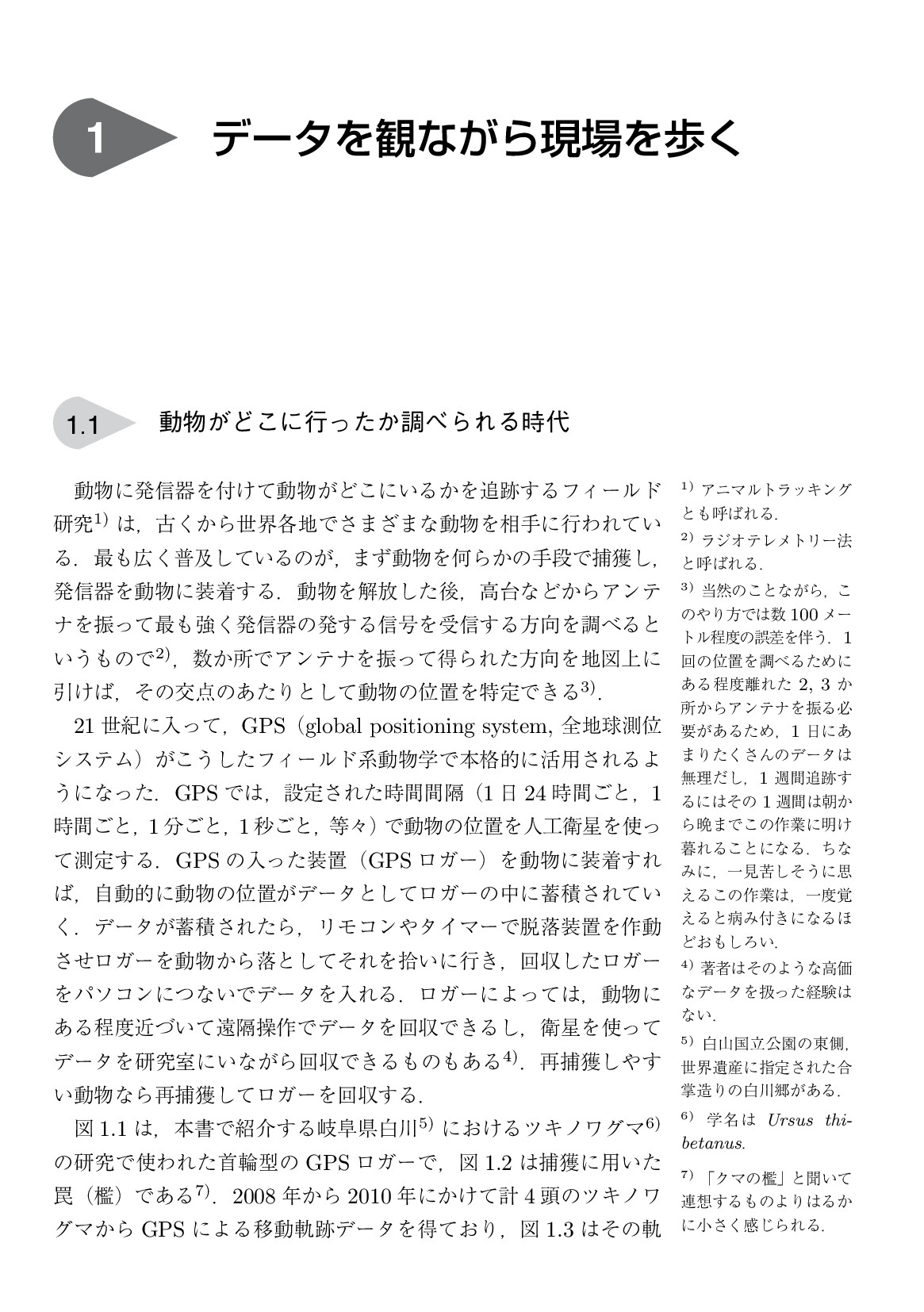 サムネイル 13