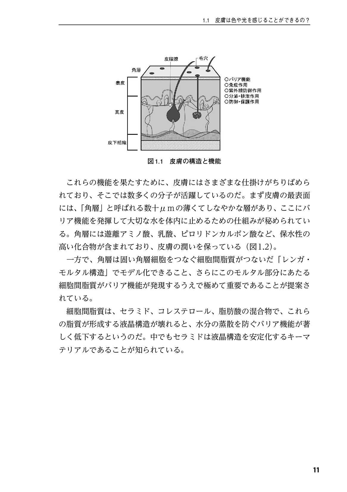 サムネイル 12